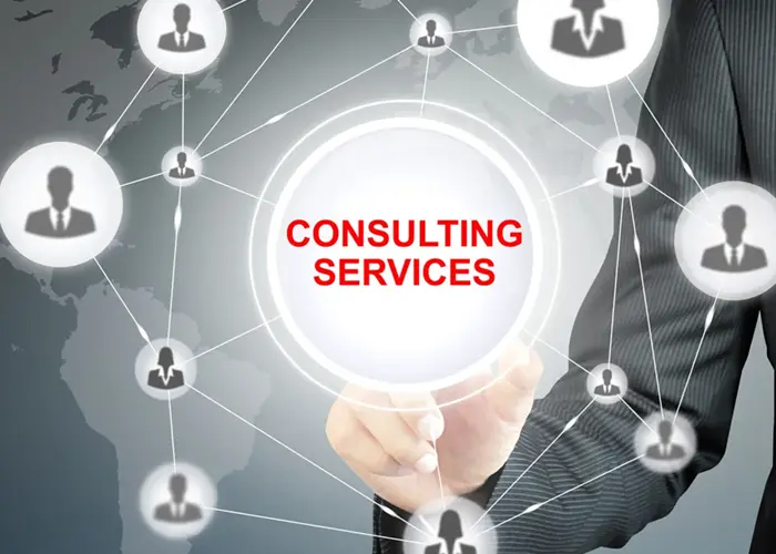 Consultancy Services