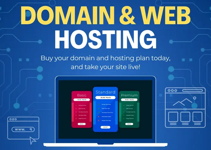 Domain & Hosting